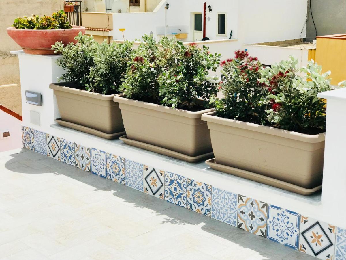 Fiori D'Arancio Lejlighed Terrasini Eksteriør billede